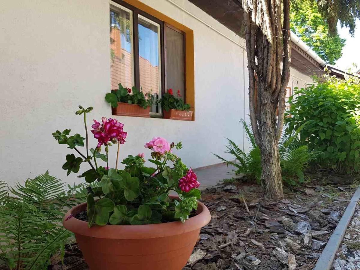 Kuti Vendeghaz Hotel Bakonykuti Buitenkant foto