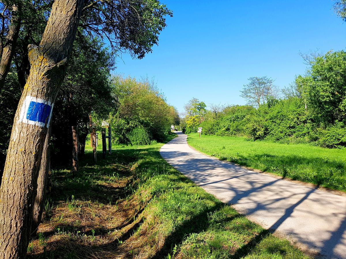 Kuti Vendeghaz Hotel Bakonykuti Buitenkant foto