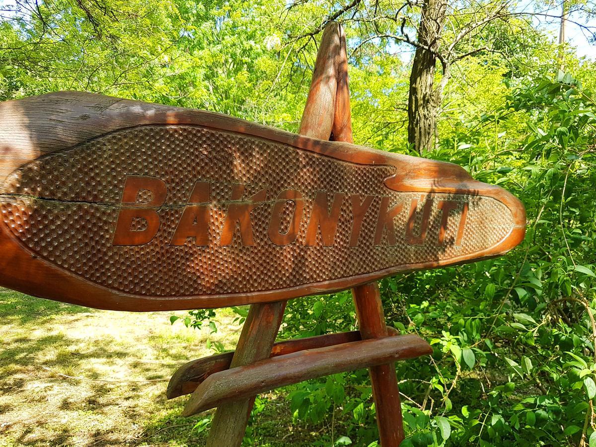 Kuti Vendeghaz Hotel Bakonykuti Buitenkant foto